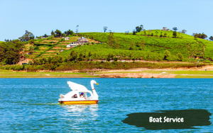 Boat Service - Gregory Lake