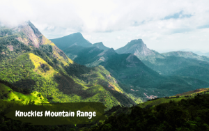 Knuckles Mountain Range