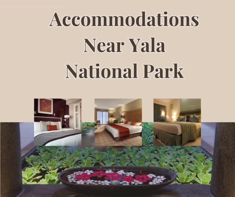 Accommodations Near Yala National Park