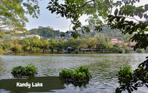 Places to Visit in Kandy