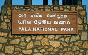 Yala Park