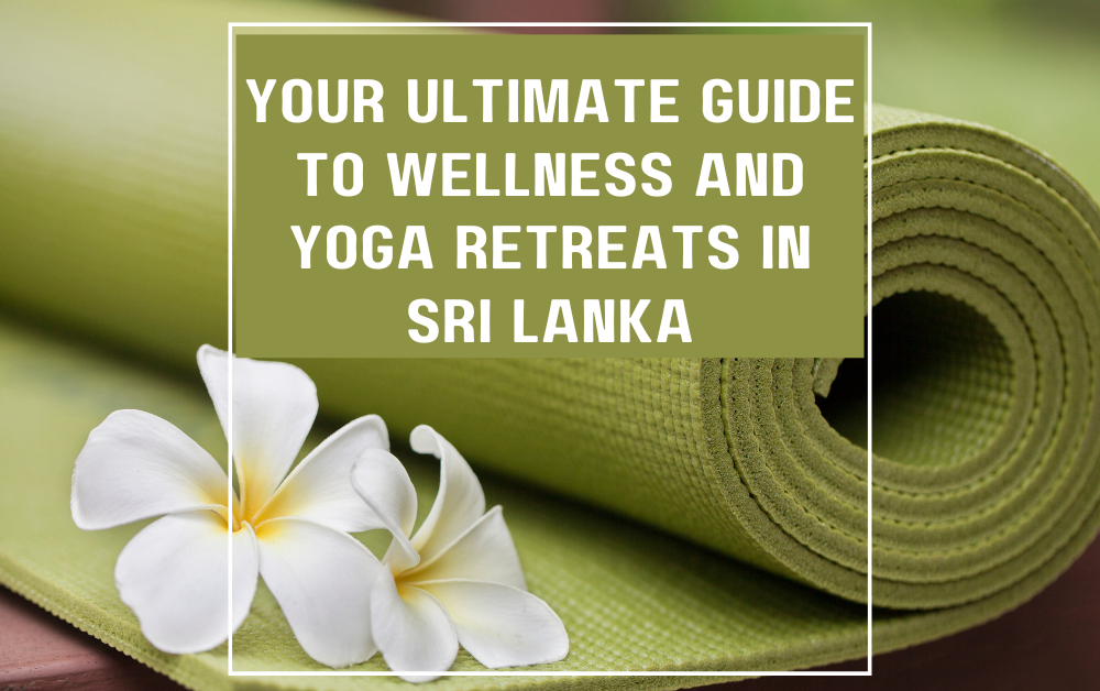 Wellness Retreats in Sri Lanka