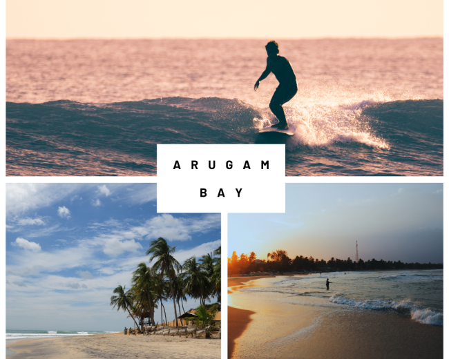 Discover Arugam Bay Beach: A Hidden Gem on Sri Lanka’s Southeast Coast