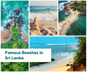 Famous Beaches in Sri Lanka