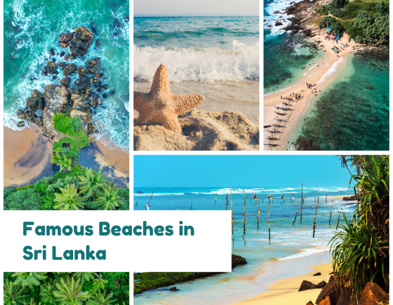 Famous Beaches in Sri Lanka