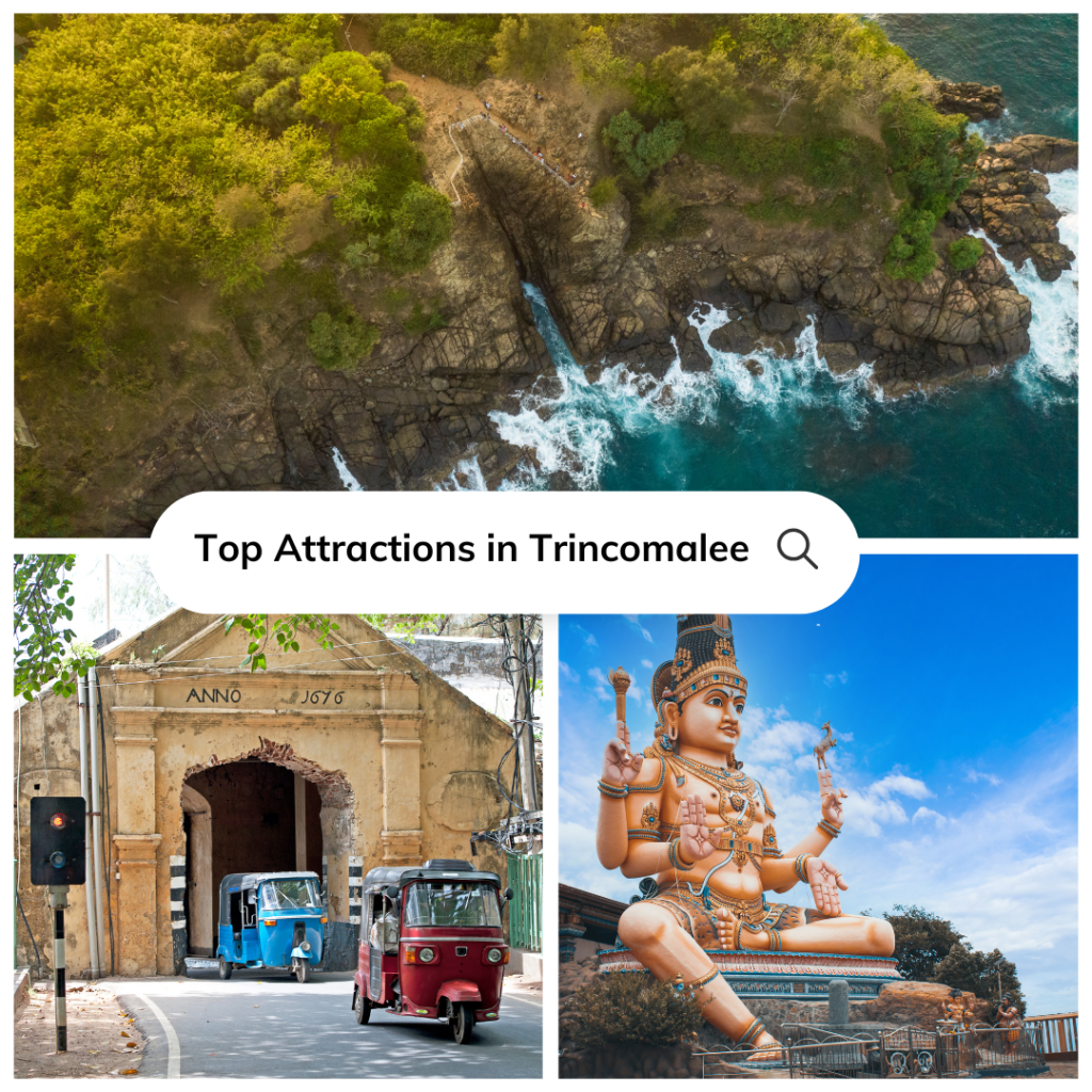 Top Attractions in Trincomalee