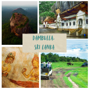 Top Places to Visit in Dambulla