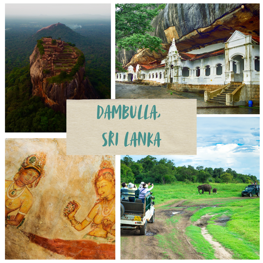 Top Places to Visit in Dambulla